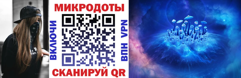 закладка  Краснообск  Галлюциногенные грибы прущие грибы 